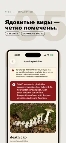 Mycel — карта грибов