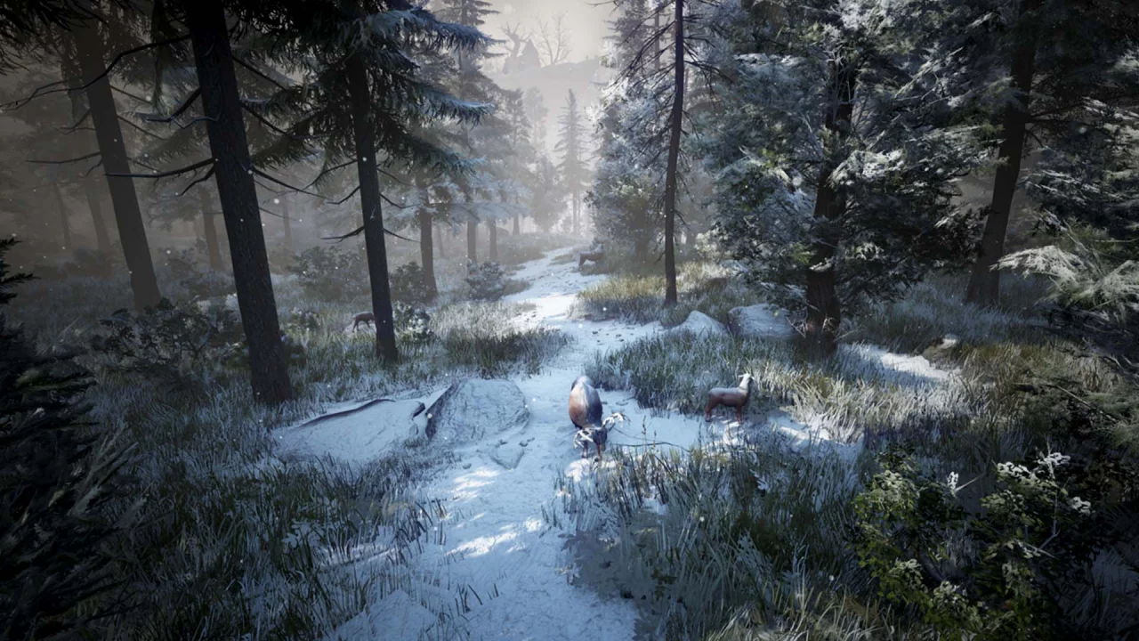 Black Desert: Standard Edition