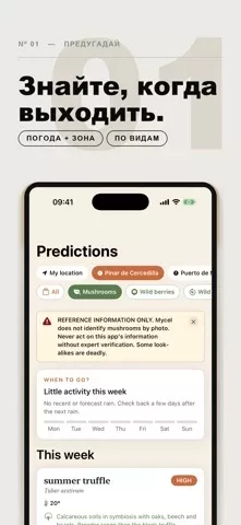 Mycel — карта грибов