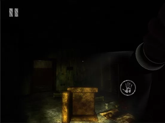 The House in the Dark