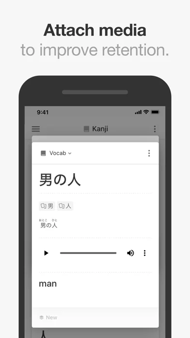 Mochi - Flashcards and notes