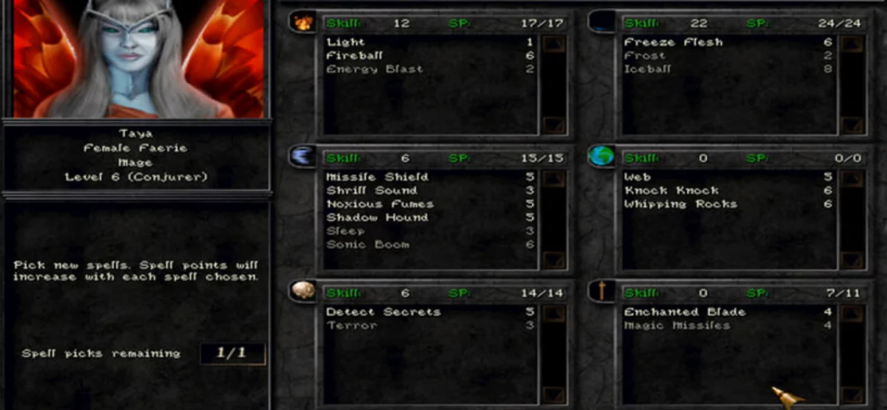 Wizardry 8
