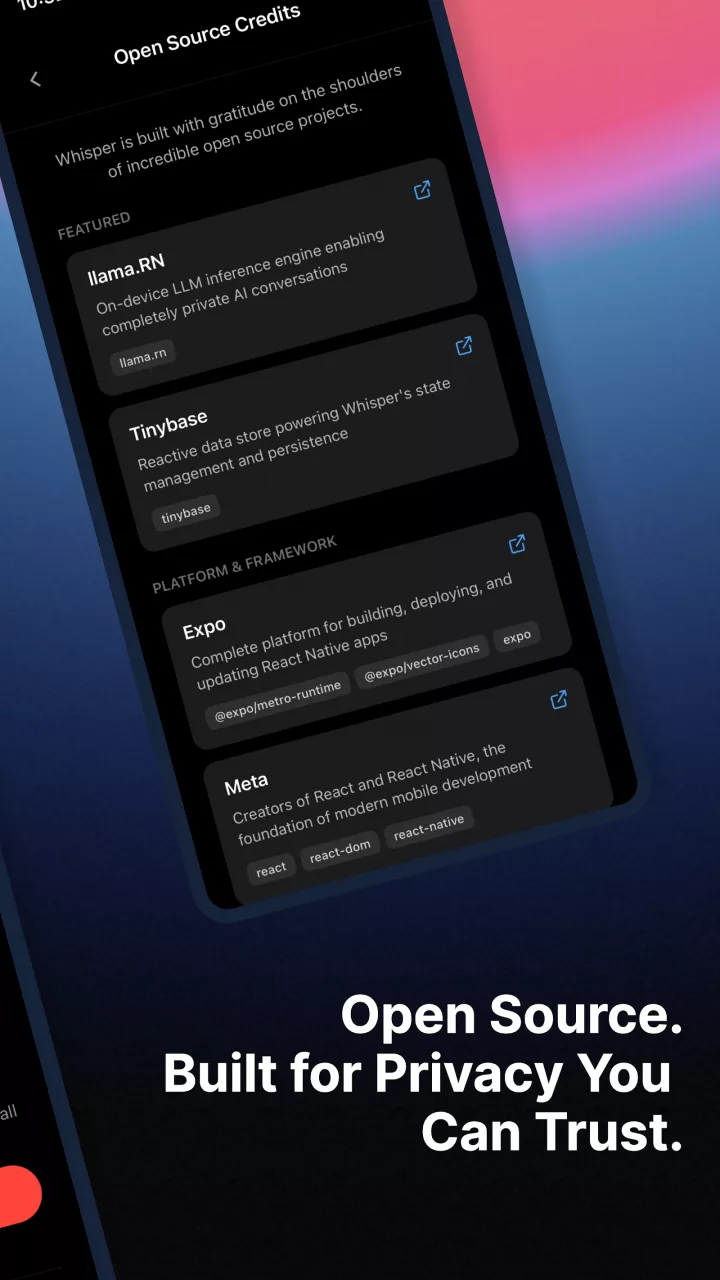 Whisper: Private Offline AI