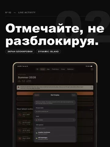 Mycel — карта грибов