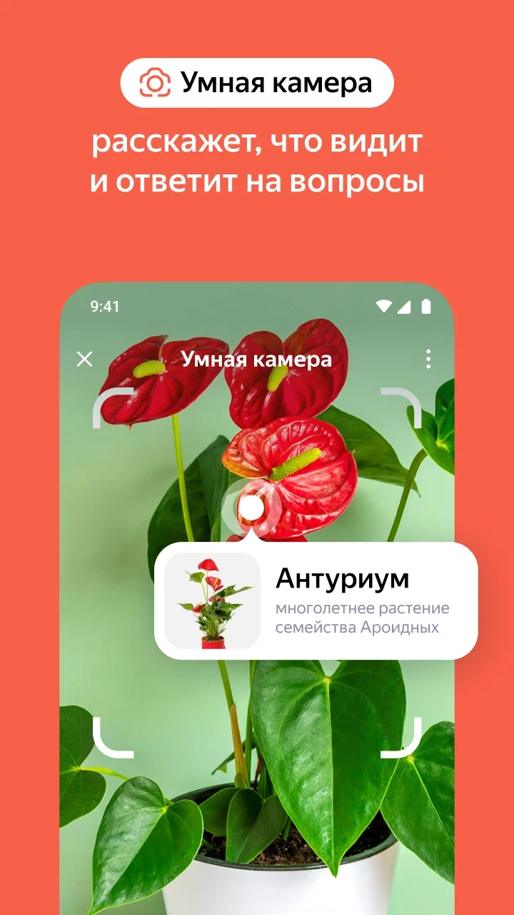 com.yandex.searchapp