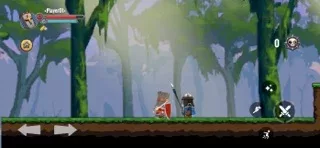 Castle Crazy Battle