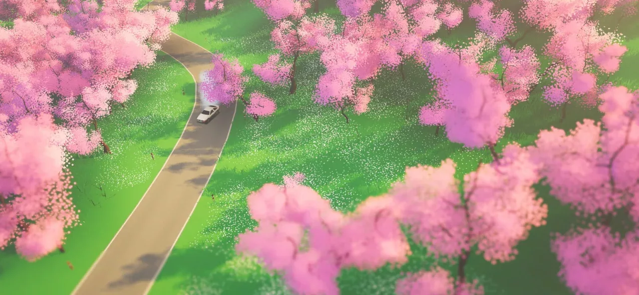 art of rally