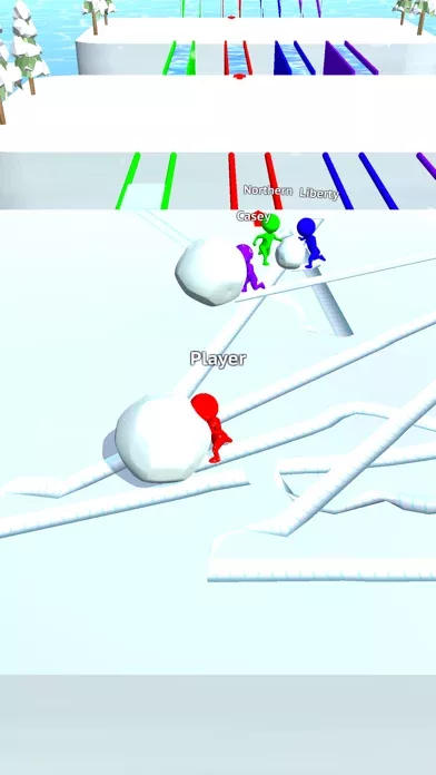 Snow Race!!