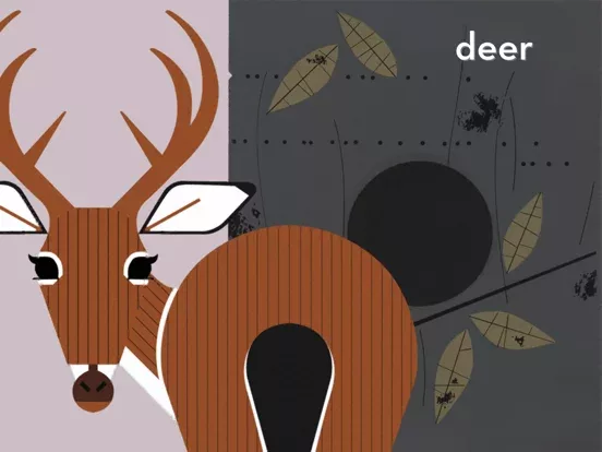 Peekaboo Forest