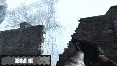 Z.O.N.A Shadow of Lemansk