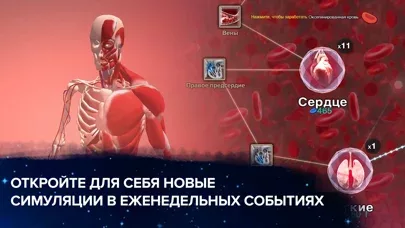 Ячейка к Сингулярности: космос
