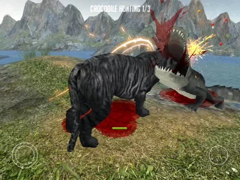 Life Of Black Tiger