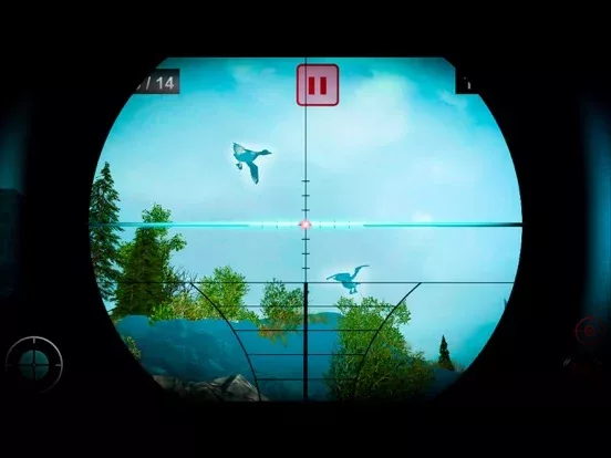 Duck Hunting Shooting Season