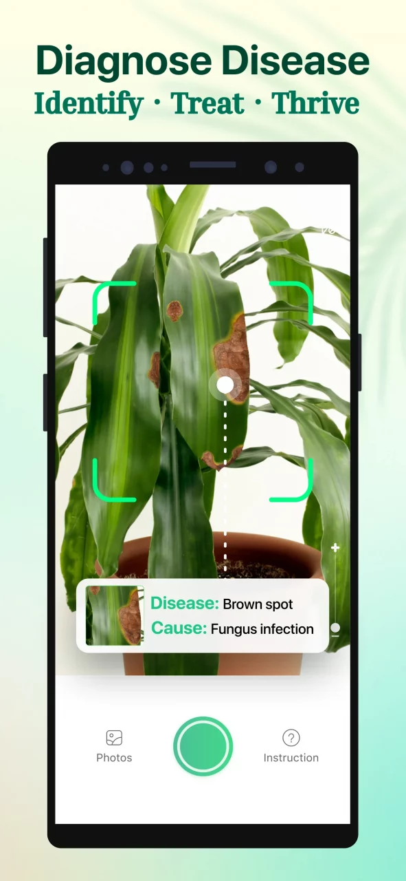 Plant Parent: Plant Care Guide