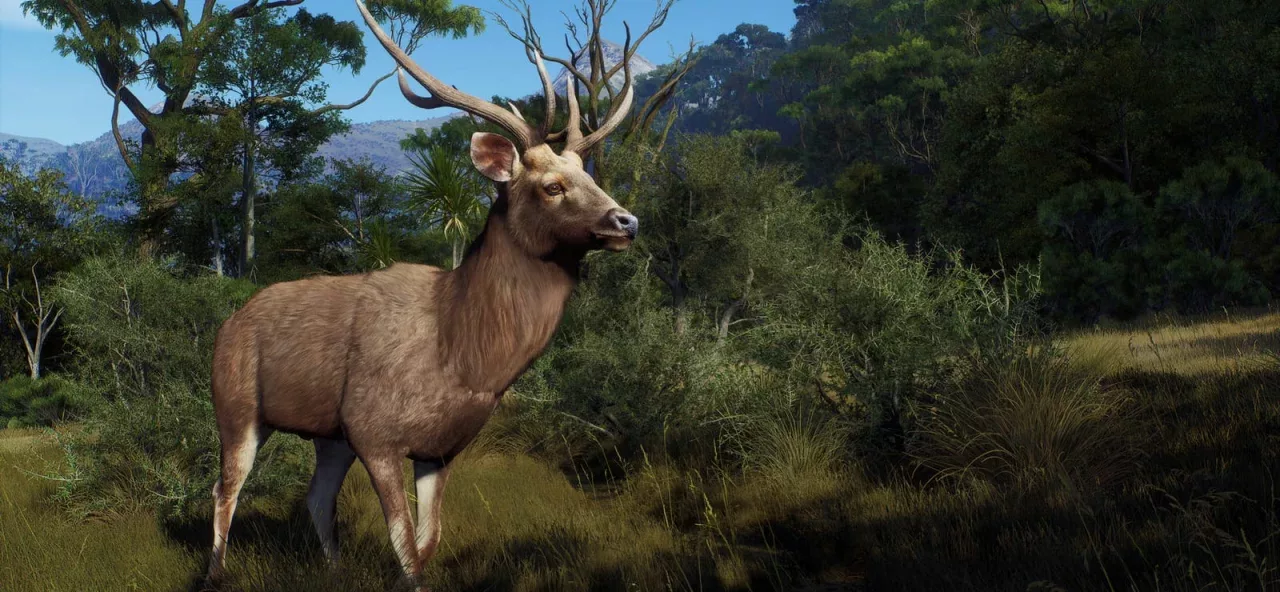 Way of the Hunter - Map Pack 2
