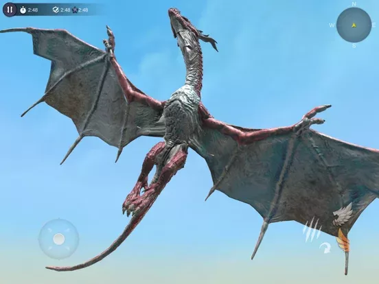 Dragon Flight Simulator Game 2