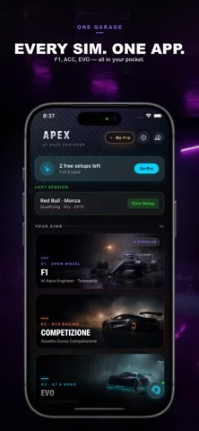 APEX.Ai: AI Race Engineer