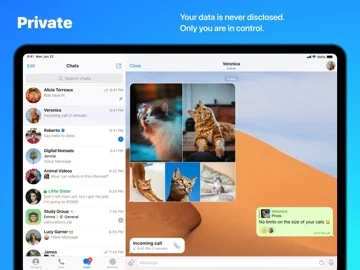 Telegram Messenger