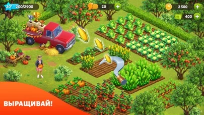 Spring Valley: Ферма