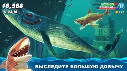 Hungry Shark World