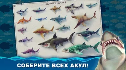 Hungry Shark World