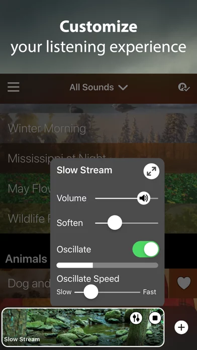 Rain Rain Sleep Sounds