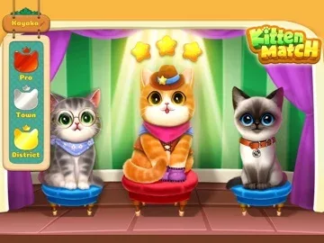 Kitten Match