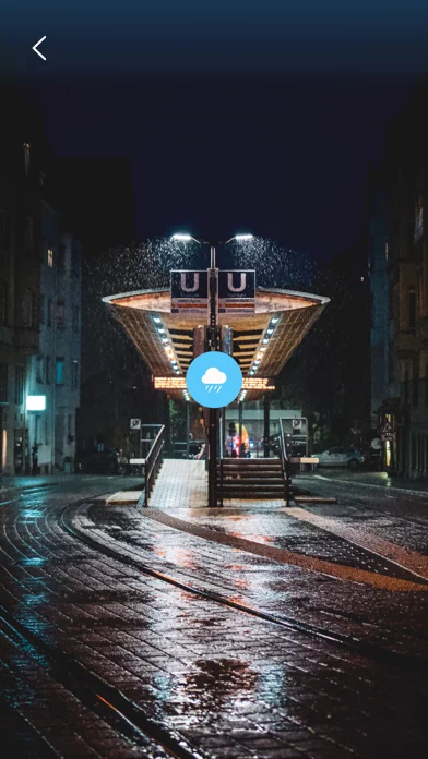 Rain Sounds - Sleep Sounds