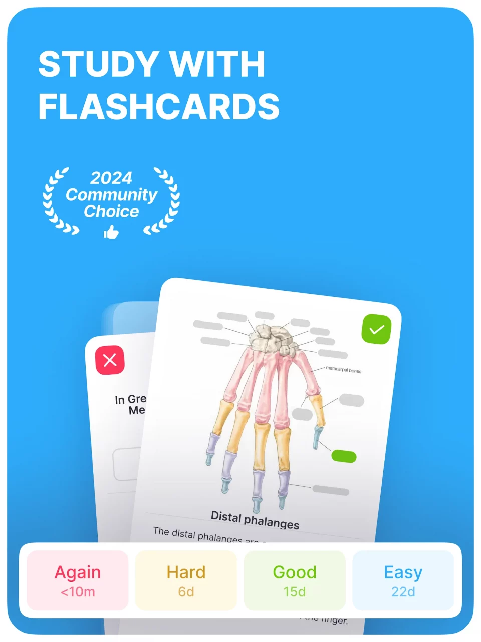 Noji – Flashcards study app