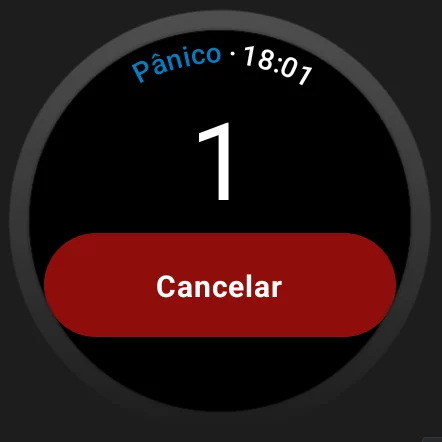 IRACSEG
