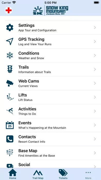 Snow King