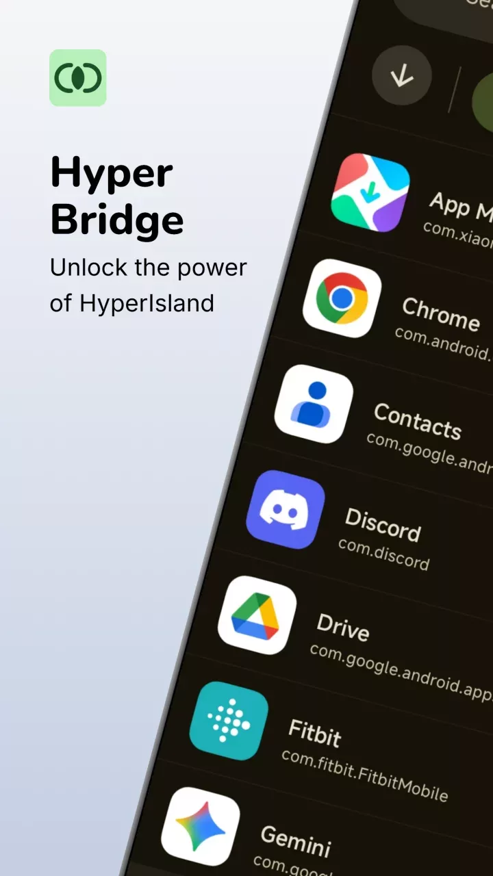 Hyper Bridge