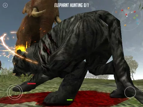 Life Of Black Tiger