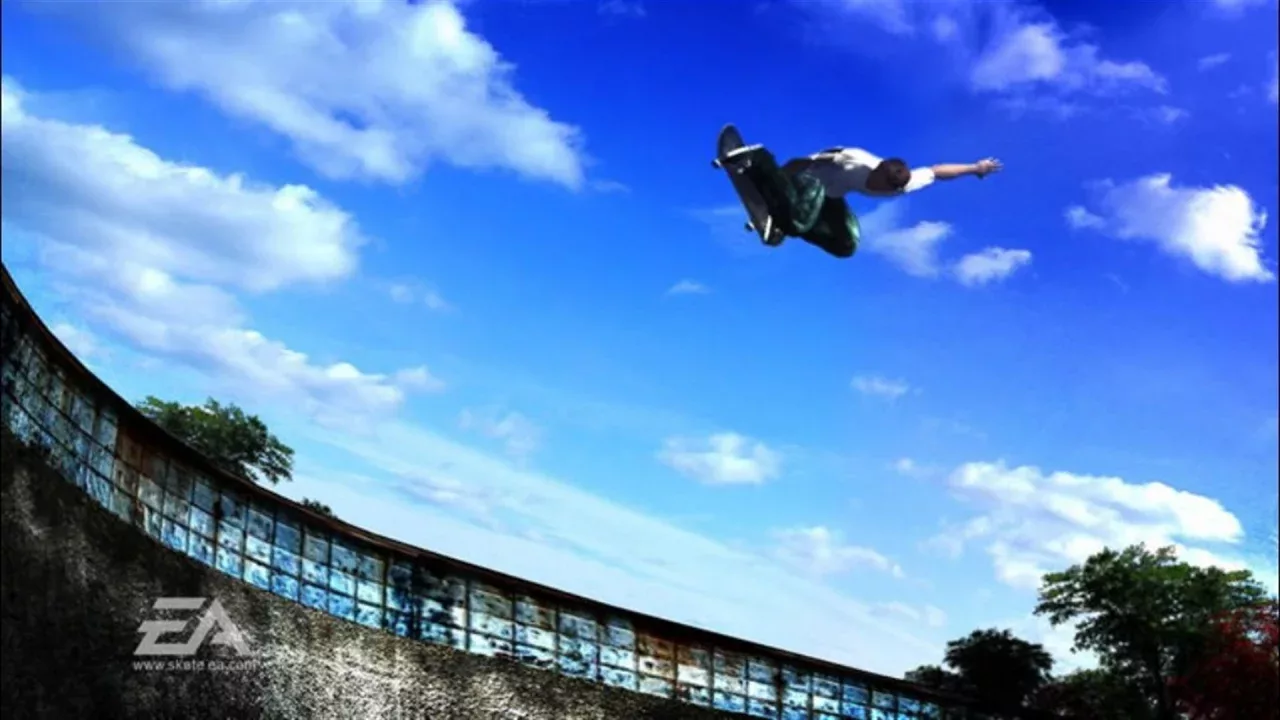 skate. (2007)