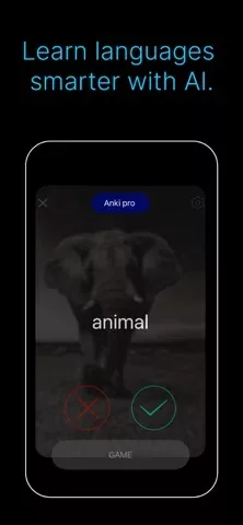 IANKI Flashcards