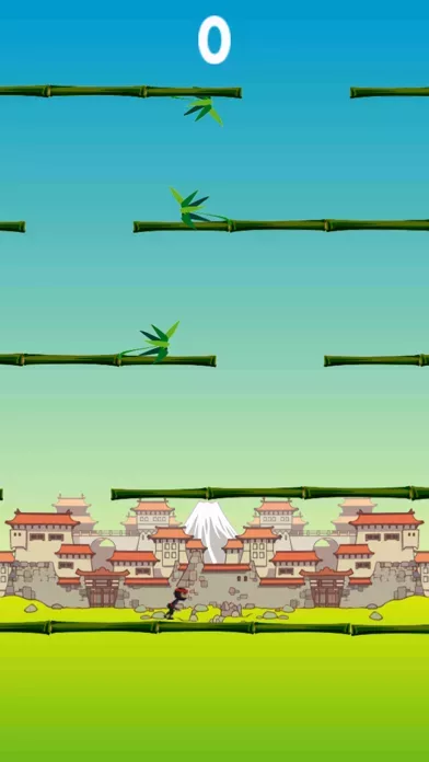 Ninja Boy Adventure