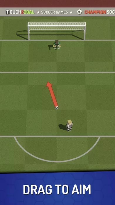 Champion Soccer Star