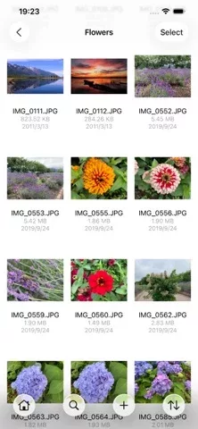FE File Explorer