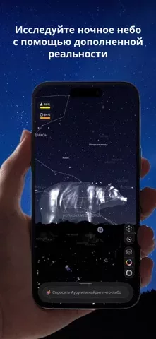 Night Sky