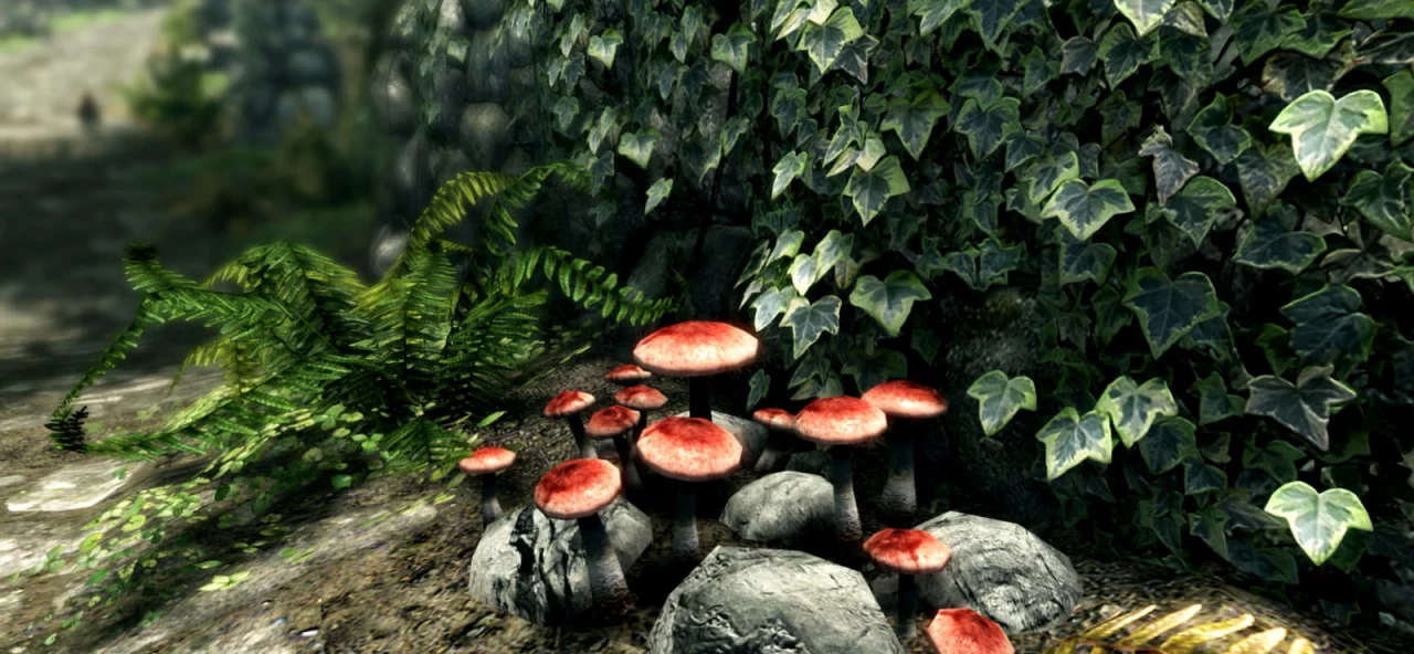 The Elder Scrolls V: Skyrim Special Edition