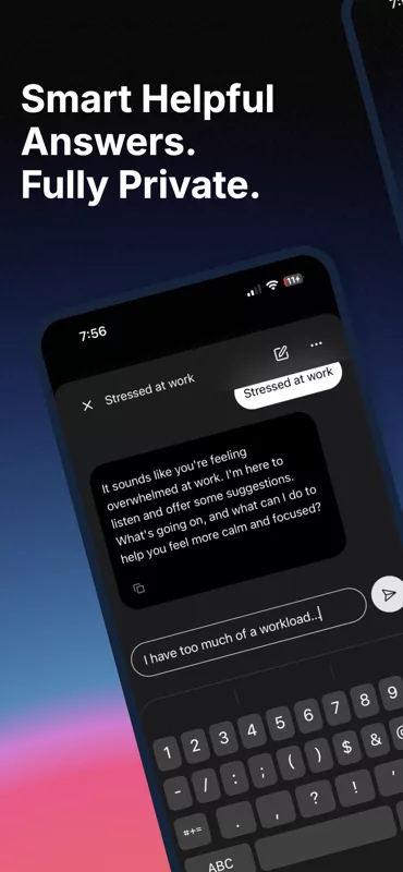 Whisper: Private Offline AI