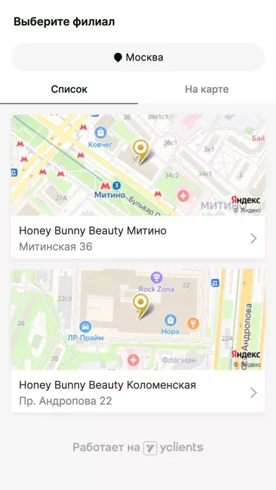 Honey Bunny Beauty