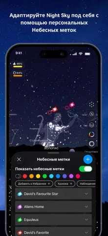 Night Sky