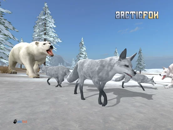 Arctic Fox