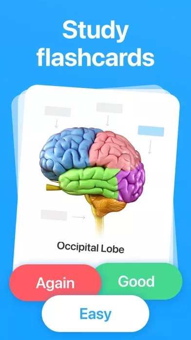 GRE & SAT Prep - Flashcards