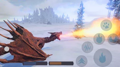 Flying Real Dragon Simulator