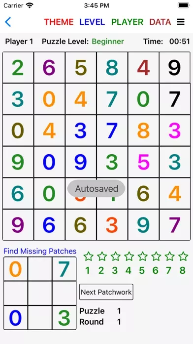 Patchwork Puzzles (Junior Ed)