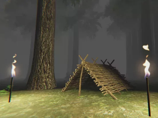 Trapped in the Forest!