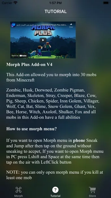 MCPE ADDONS - Morph Mods
