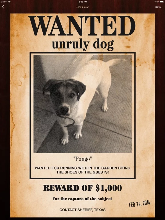 Wanted Poster Pro
